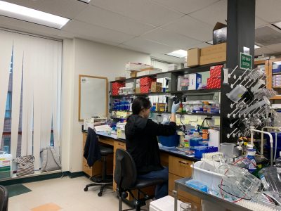 Student working in the lab